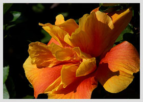 Nauka języków obcych z AI - moje doświadczenie z nowoczesną edukacją